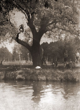 Ярослав Бублик стрибає з верби у Верещицю